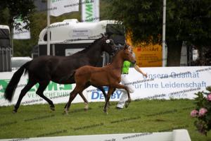 107 Vitalis x Ferro BU7I2584