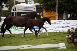 108 For Romance II x Charon BU7I2592