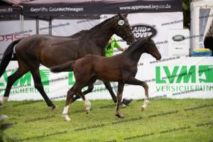 108 For Romance II x Charon BU7I2596