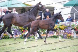 108 For Romance II x Charon BU7I2599