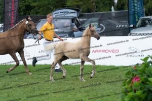 174 Socrates x Oosteinds Ricky DSC04851