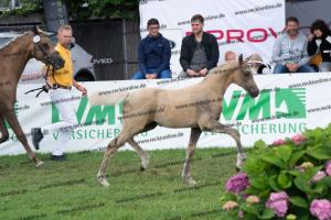 174 Socrates x Oosteinds Ricky DSC04855