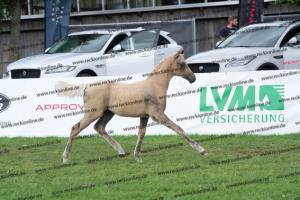 174 Socrates x Oosteinds Ricky DSC04866