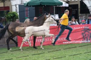 178 RM Golden Pleasure x Casino Royale K WE DSC05313