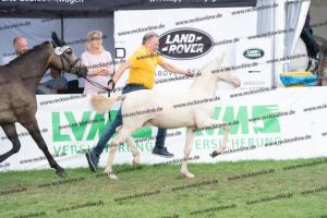 178 RM Golden Pleasure x Casino Royale K WE DSC05322