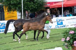 180 Socrates x Mariano DSC04959