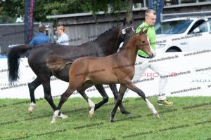 180 Socrates x Mariano DSC04963