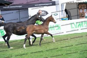 180 Socrates x Mariano DSC04966