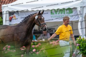 030 Cavtat PKZ x Calypso II (Chica) DSC01182