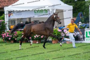 030 Cavtat PKZ x Calypso II (Chica) DSC01203