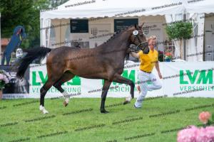 030 Cavtat PKZ x Calypso II (Chica) DSC01204