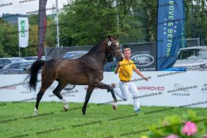 030 Cavtat PKZ x Calypso II (Chica) DSC01208