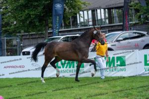 030 Cavtat PKZ x Calypso II (Chica) DSC01210