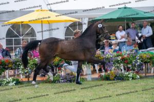 030 Cavtat PKZ x Calypso II (Chica) DSC01215