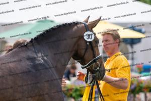 030 Cavtat PKZ x Calypso II (Chica) DSC01406