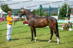 030 Cavtat PKZ x Calypso II (Chica)  A1P6321