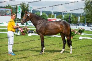 030 Cavtat PKZ x Calypso II (Chica)  A1P6328