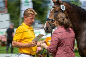 030 Cavtat PKZ x Calypso II (Chica)  A1P6331