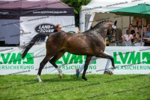 030 Cavtat PKZ x Calypso II (Chica)  A1P6343