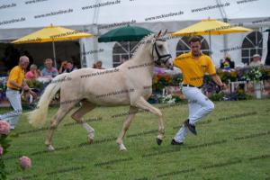 039 Der Classicer x FS Champion de Luxe (Donna Cara) DSC01560