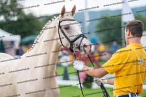 039 Der Classicer x FS Champion de Luxe (Donna Cara) DSC02399