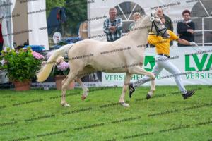 039 Der Classicer x FS Champion de Luxe (Donna Cara) DSC02412