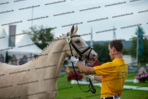 039 Der Classicer x FS Champion de Luxe (Donna Cara)  A1P6854