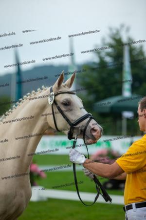039 Der Classicer x FS Champion de Luxe (Donna Cara)  A1P6858