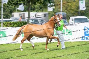 041 Vincenzo SH x FS Don't Worry (Violetta) DSC01619