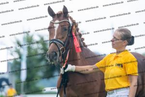 043 Don Alonso x HB Daylight (Darfs ein bisschen mehr sein) DSC01990