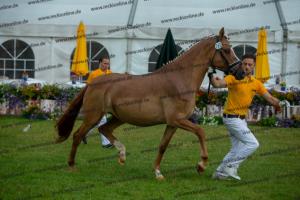 058 Mac Creamy x FS Don't Worry (Creamy's Divine S)  A1P6739