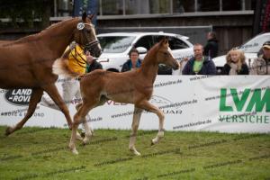 238 Flashback x Almaz BU7I3952