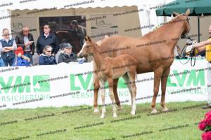 238 Flashback x Almaz DSC06979