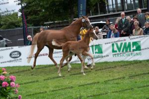 238 Flashback x Almaz DSC06990