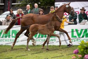 239 Jovian x Bretton Woods BU7I3981