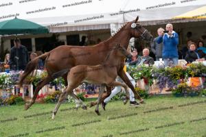 239 Jovian x Bretton Woods DSC07013