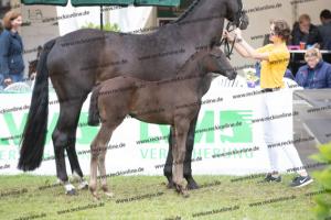 242 For Romance II x Dante Weltino BU7I3985