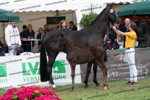 242 For Romance II x Dante Weltino DSC07035