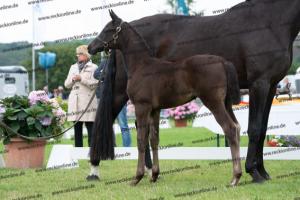 242 For Romance II x Dante Weltino DSC07387