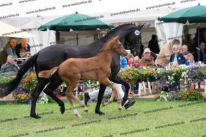 249 Floriscount x Heinrich Heine DSC07236