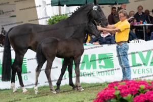 250 Secret x Grey Flanell DSC07152