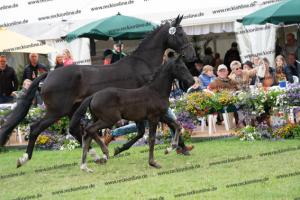 250 Secret x Grey Flanell DSC07165