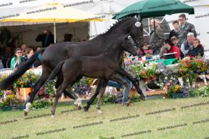 250 Secret x Grey Flanell DSC07168