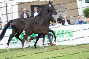 250 Secret x Grey Flanell DSC07173