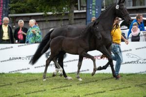 250 Secret x Grey Flanell  U7I4056