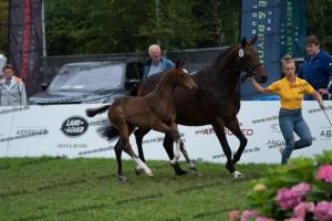 257 Escolar x Krack C DSC07307