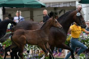 257 Escolar x Krack C DSC07310