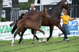 257 Escolar x Krack C DSC07320