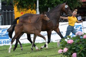 257 Escolar x Krack C DSC07321