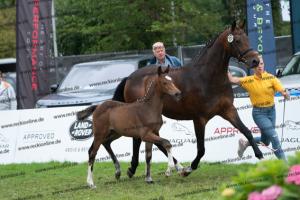 257 Escolar x Krack C DSC07324